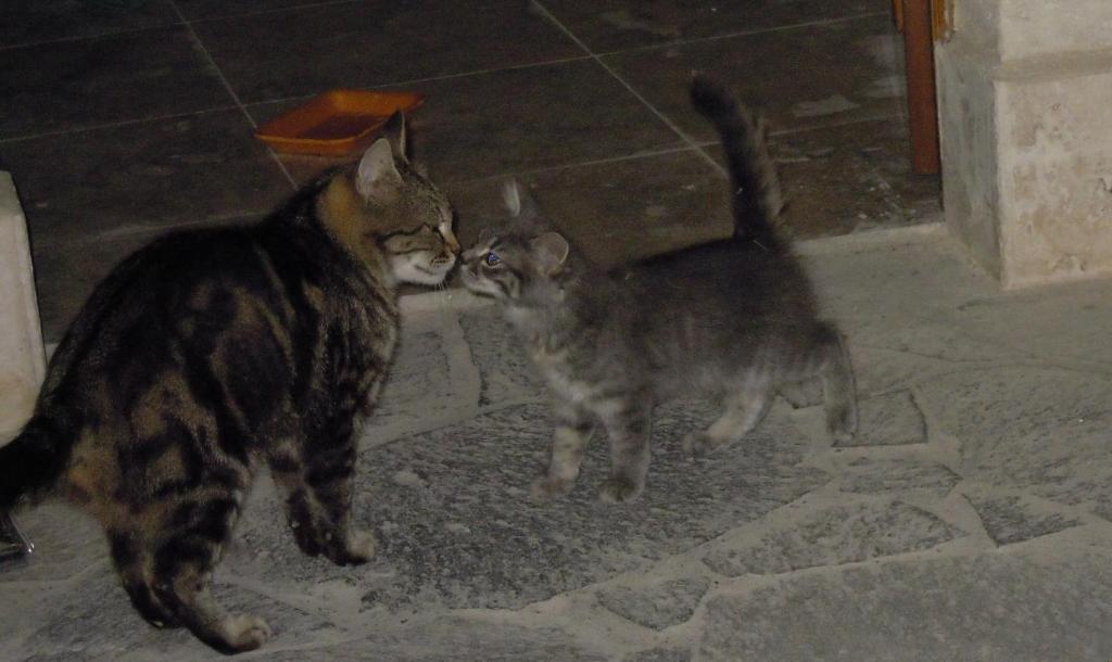 Has Konak ウチヒサール エクステリア 写真